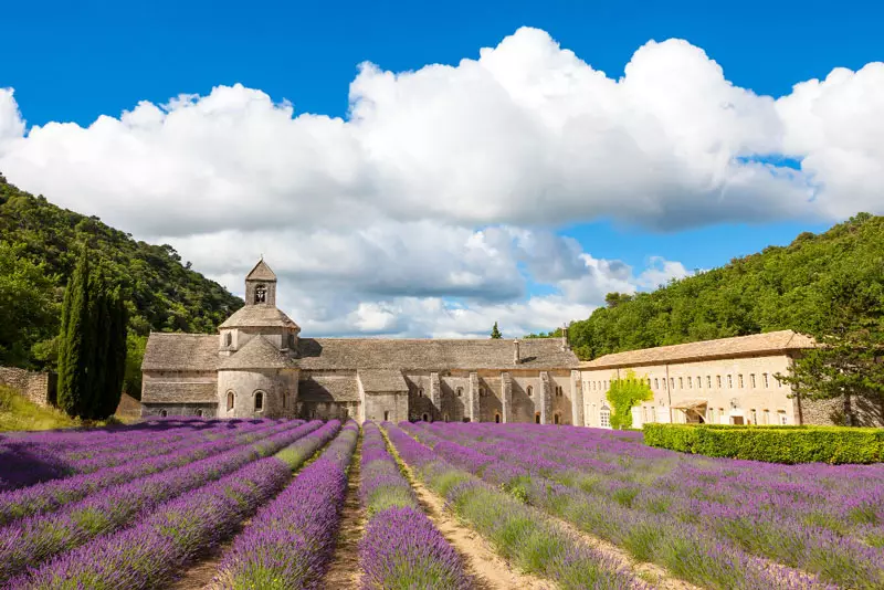 Provence Tour